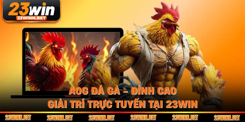 AOG Đá Gà - Đỉnh Cao Giải Trí Trực Tuyến Tại 23WIN