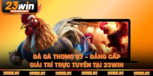 Đá Gà Thomo 67 - Đẳng Cấp Giải Trí Trực Tuyến Tại 23WIN