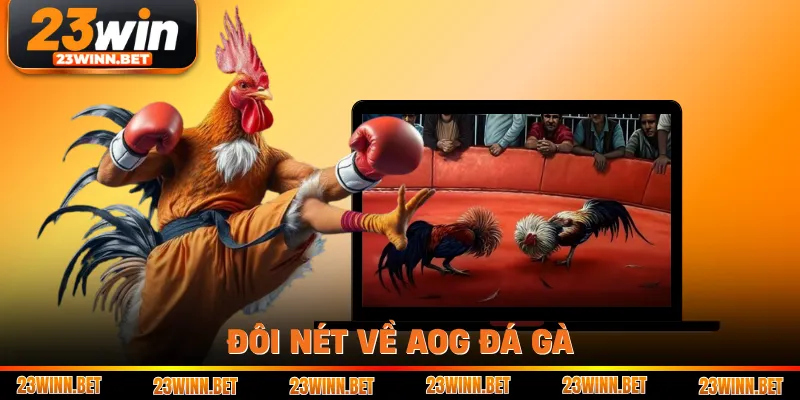 Đôi nét về AOG đá gà