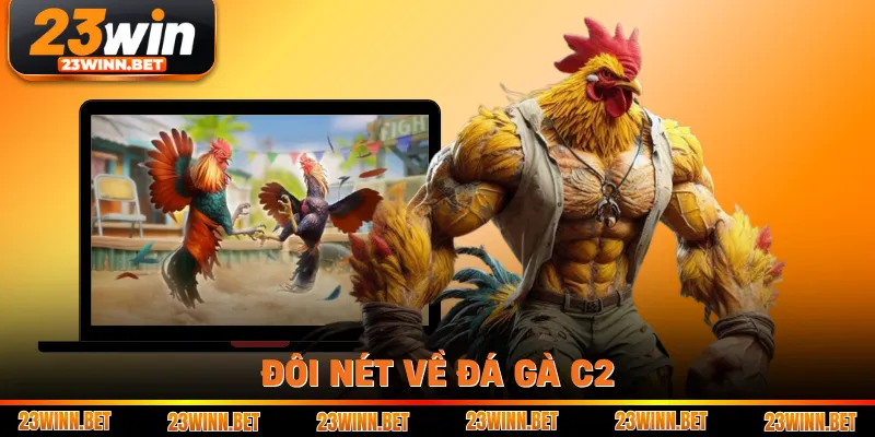 Đôi nét về đá gà C2