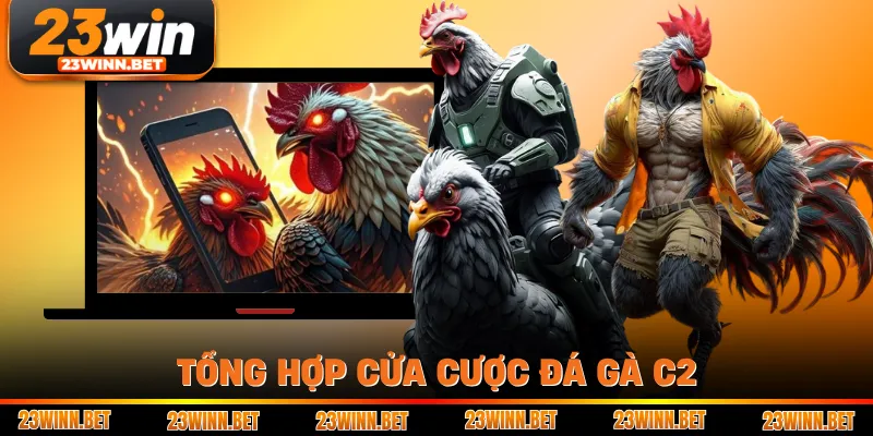 Tổng hợp cửa cược đá gà C2